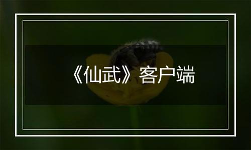 《仙武》客户端