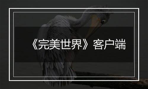 《完美世界》客户端