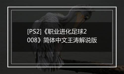 [PS2]《职业进化足球2008》简体中文王涛解说版