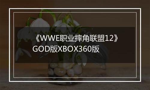 《WWE职业摔角联盟12》GOD版XBOX360版