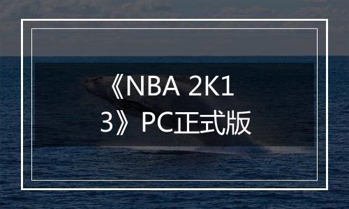 《NBA 2K13》PC正式版
