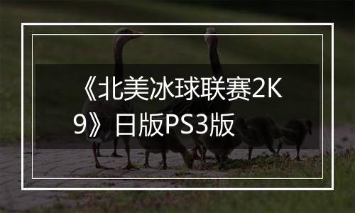 《北美冰球联赛2K9》日版PS3版
