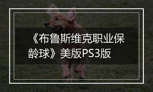 《布鲁斯维克职业保龄球》美版PS3版