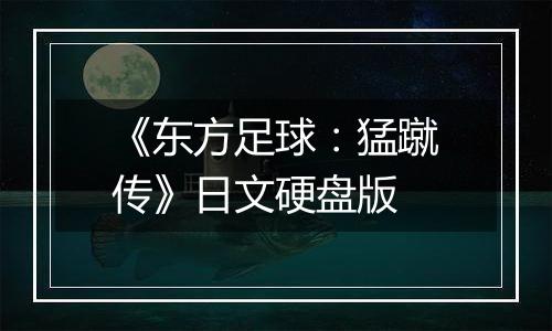 《东方足球：猛蹴传》日文硬盘版