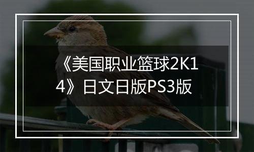 《美国职业篮球2K14》日文日版PS3版