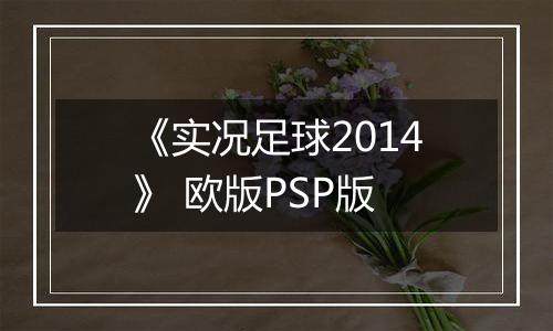 《实况足球2014》 欧版PSP版