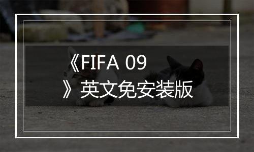 《FIFA 09》英文免安装版