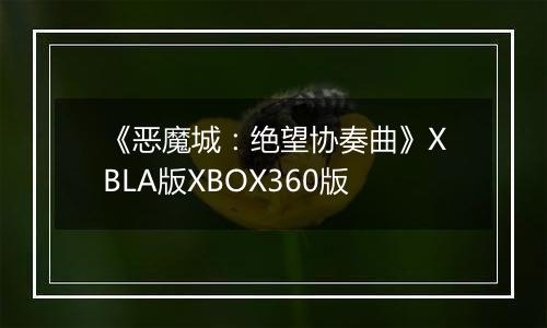 《恶魔城：绝望协奏曲》XBLA版XBOX360版