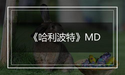 《哈利波特》MD