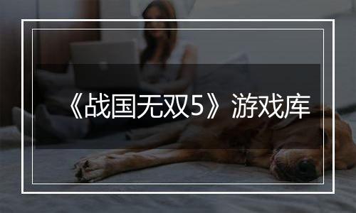 《战国无双5》游戏库