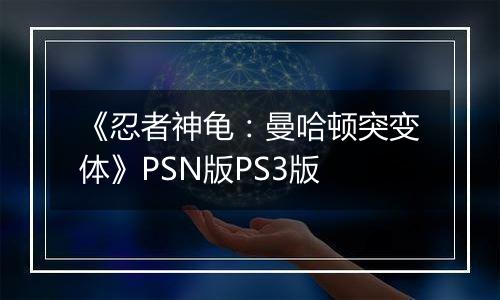 《忍者神龟：曼哈顿突变体》PSN版PS3版