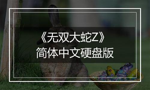 《无双大蛇Z》简体中文硬盘版