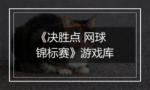 《决胜点 网球锦标赛》游戏库