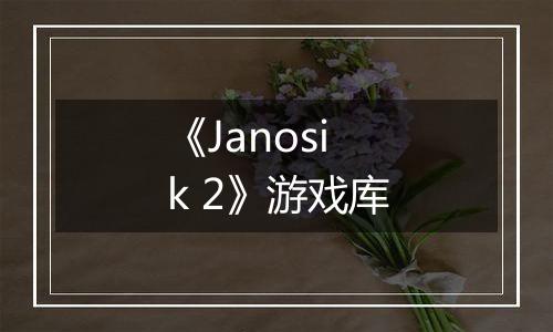 《Janosik 2》游戏库
