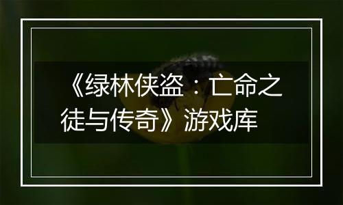 《绿林侠盗：亡命之徒与传奇》游戏库