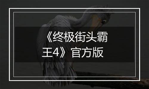 《终极街头霸王4》官方版