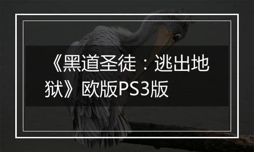 《黑道圣徒：逃出地狱》欧版PS3版