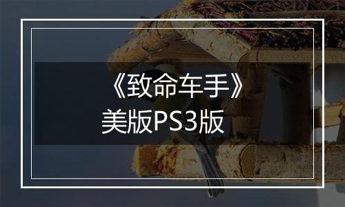 《致命车手》美版PS3版