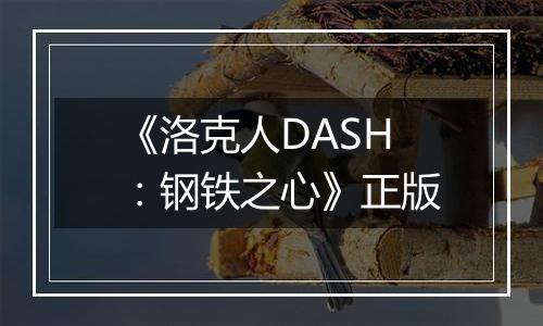 《洛克人DASH：钢铁之心》正版
