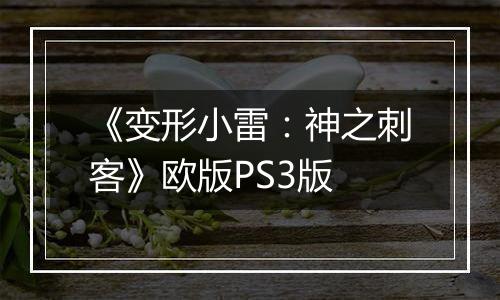 《变形小雷：神之刺客》欧版PS3版