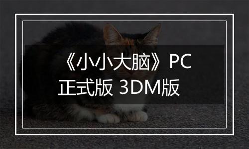 《小小大脑》PC正式版 3DM版