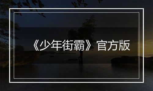 《少年街霸》官方版