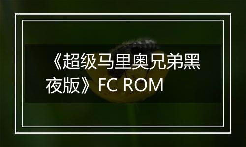 《超级马里奥兄弟黑夜版》FC ROM