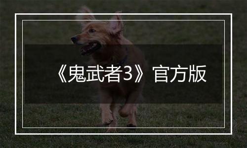 《鬼武者3》官方版