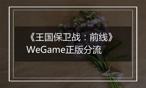《王国保卫战：前线》 WeGame正版分流