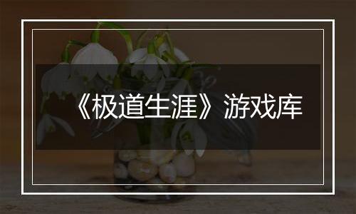 《极道生涯》游戏库