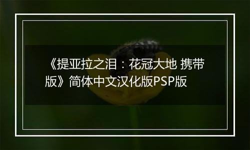 《提亚拉之泪：花冠大地 携带版》简体中文汉化版PSP版