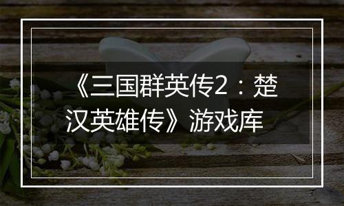 《三国群英传2：楚汉英雄传》游戏库