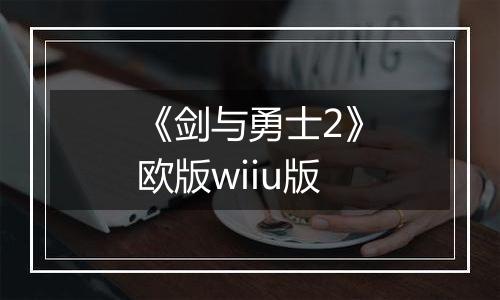 《剑与勇士2》欧版wiiu版