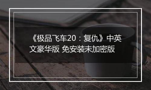 《极品飞车20：复仇》中英文豪华版 免安装未加密版