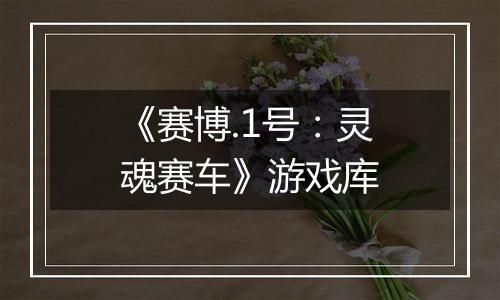 《赛博.1号：灵魂赛车》游戏库