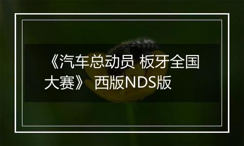 《汽车总动员 板牙全国大赛》 西版NDS版