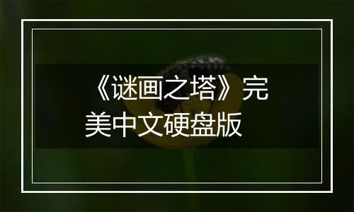 《谜画之塔》完美中文硬盘版