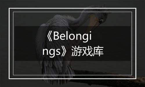《Belongings》游戏库
