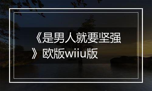 《是男人就要坚强》欧版wiiu版