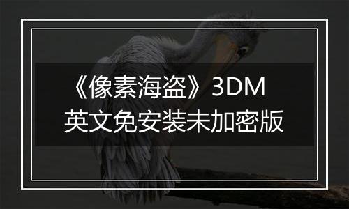 《像素海盗》3DM英文免安装未加密版