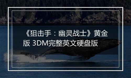 《狙击手：幽灵战士》黄金版 3DM完整英文硬盘版