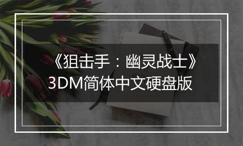 《狙击手：幽灵战士》3DM简体中文硬盘版