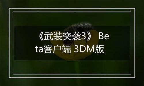 《武装突袭3》 Beta客户端 3DM版