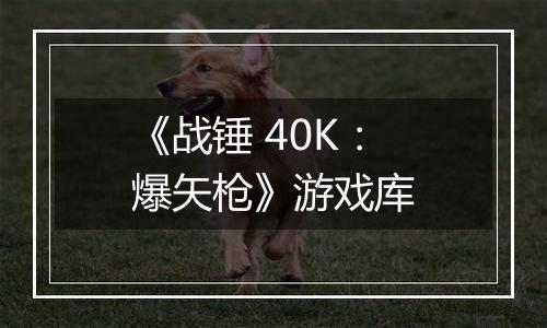 《战锤 40K：爆矢枪》游戏库
