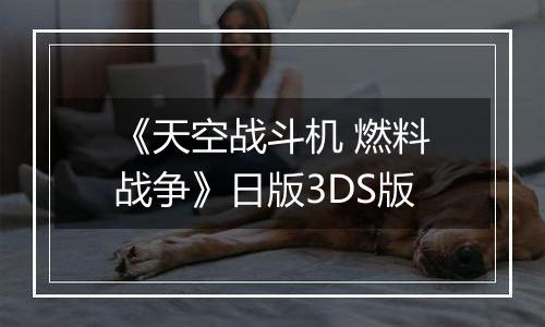 《天空战斗机 燃料战争》日版3DS版