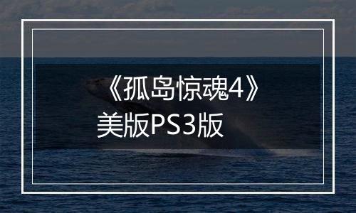 《孤岛惊魂4》美版PS3版