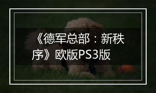 《德军总部：新秩序》欧版PS3版