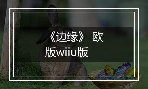 《边缘》 欧版wiiu版