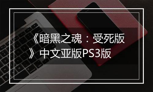 《暗黑之魂：受死版》中文亚版PS3版