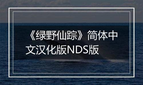 《绿野仙踪》简体中文汉化版NDS版